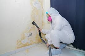 Best Real Estate Mold Inspection in USA